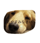むーにゃん（個別スタンプ：5）