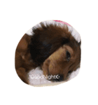 munyanko2（個別スタンプ：1）