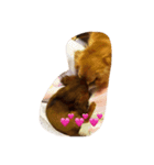 munyanko2（個別スタンプ：3）