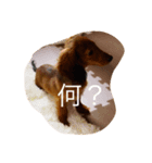 munyanko2（個別スタンプ：6）