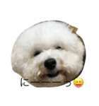 犬が話せたら…（個別スタンプ：1）