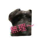 犬が話せたら…（個別スタンプ：2）