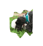 犬が話せたら…（個別スタンプ：4）