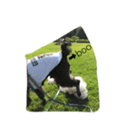 犬が話せたら…（個別スタンプ：5）