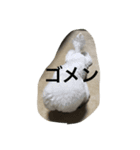 犬が話せたら…（個別スタンプ：7）