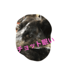 怪しい（個別スタンプ：1）