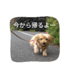 ちゃーと愉快な仲間たち（帰宅編）（個別スタンプ：1）