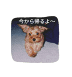 ちゃーと愉快な仲間たち（帰宅編）（個別スタンプ：3）
