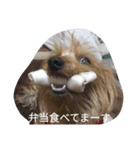 ちゃーと愉快な仲間たち（帰宅編）（個別スタンプ：8）
