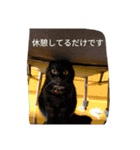 ちゃーと愉快な仲間たち（帰宅編）（個別スタンプ：9）