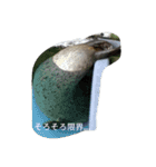 ちゃーと愉快な仲間たち（帰宅編）（個別スタンプ：14）