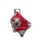 ちゃーと愉快な仲間たち（帰宅編）（個別スタンプ：15）