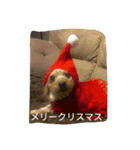 ちゃーと愉快な仲間たち（帰宅編）（個別スタンプ：16）