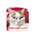 使えるニャチジョウstamp（個別スタンプ：6）
