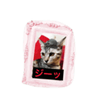 使えるニャチジョウstamp（個別スタンプ：8）