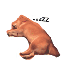 柴犬の日常会話（個別スタンプ：6）