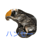 ごくぅの毎日（個別スタンプ：5）