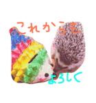 ハリネズミのきのこさん（個別スタンプ：15）