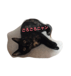 ジジの日々（個別スタンプ：1）