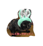 ジジの日々（個別スタンプ：2）