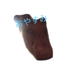 僕の全てです。（個別スタンプ：14）