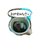 ハムスターちろる（個別スタンプ：4）