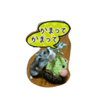 ハムスターちろる（個別スタンプ：5）