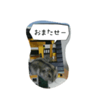 ハムスターちろる（個別スタンプ：7）