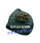 ハムスターちろる（個別スタンプ：11）