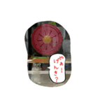 ハムスターちろる（個別スタンプ：16）