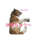 kei mix（個別スタンプ：2）