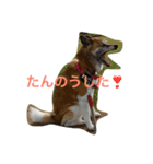 kei mix（個別スタンプ：3）