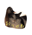 ぷー！その2（個別スタンプ：2）