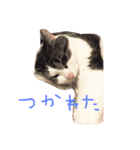 ぷー！その2（個別スタンプ：3）