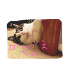ぷー！その2（個別スタンプ：4）