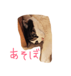 ぷー！その3（個別スタンプ：4）