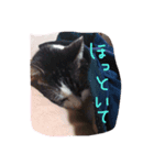 ぷー！その4（個別スタンプ：3）