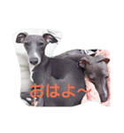 アズ＆クロの日常（個別スタンプ：2）
