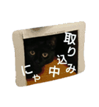 黒猫兄弟 そらりく 2（個別スタンプ：10）