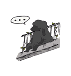 Daily life of the last black sheep（個別スタンプ：8）
