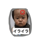 そうたんシリーズ（個別スタンプ：8）