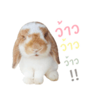 MM Rabbits 1.0 (TH)（個別スタンプ：3）