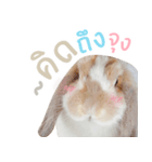 MM Rabbits 1.0 (TH)（個別スタンプ：8）