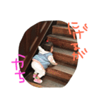 R+KMS（個別スタンプ：22）
