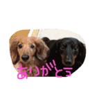 R+KMS（個別スタンプ：40）