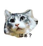イクヲと仲間たち（個別スタンプ：5）