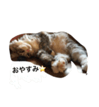 イクヲと仲間たち（個別スタンプ：7）