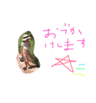 すーこちゃん（個別スタンプ：8）