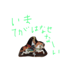 すーこちゃん（個別スタンプ：9）