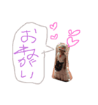 すーこちゃん（個別スタンプ：11）